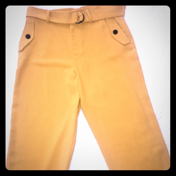 BOHO Style CARA & SANTANA (Apt.9) Mustard CAPRI PANTS Loosely Fit Size 10 - Picture 9 of 13